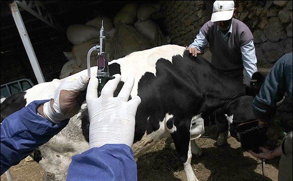 اخبار آرشیوی