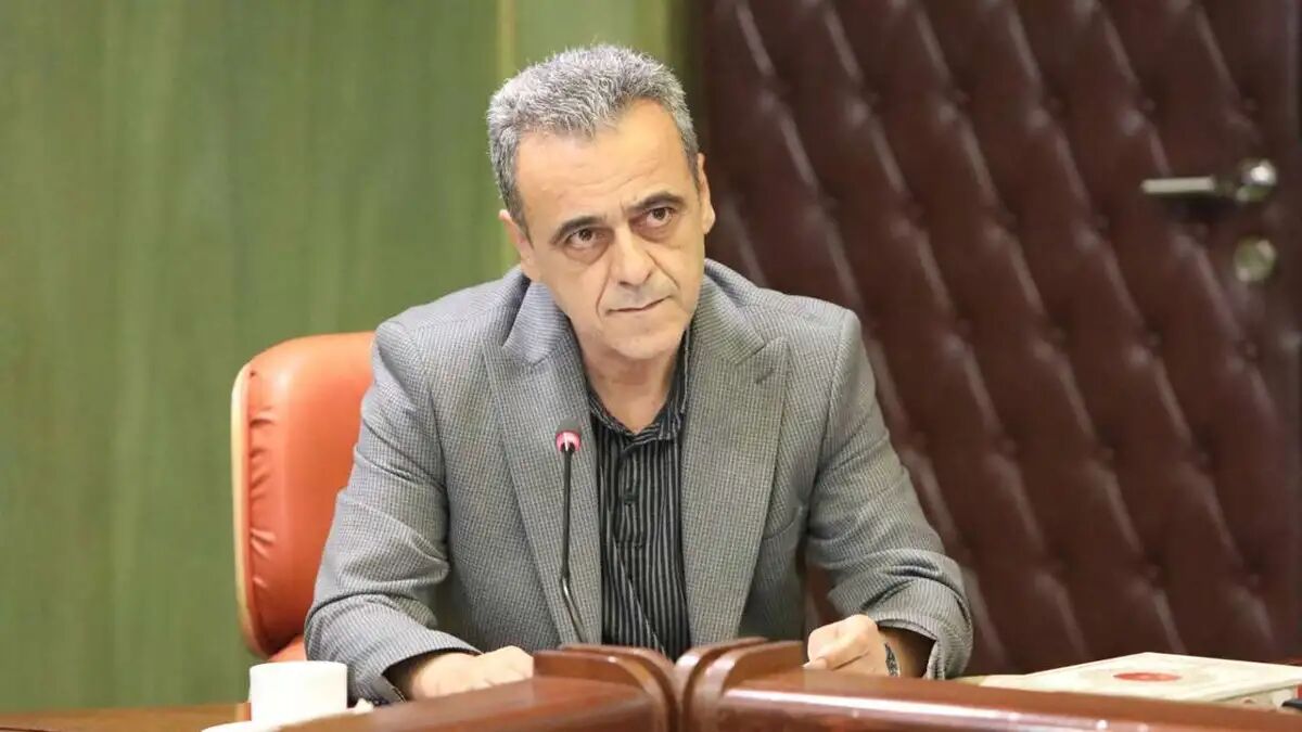 مجوز واردات ۵.۵ میلیون تن نهاده‌های دامی از ستاد تنظیم بازار اخذ شد
