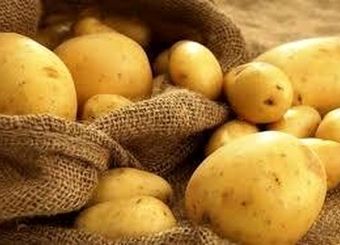 خبر خوش برای کشاورزان/ نرخ خرید تضمینی سیب‌زمینی و پیاز مشخص شد