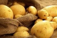 خبر خوش برای کشاورزان/ نرخ خرید تضمینی سیب‌زمینی و پیاز مشخص شد