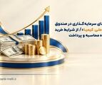 راهنمای سرمایه‌گذاری در صندوق ارزی «ملی کیمیا» / از شرایط خرید تا نحوه محاسبه و‌ پرداخت