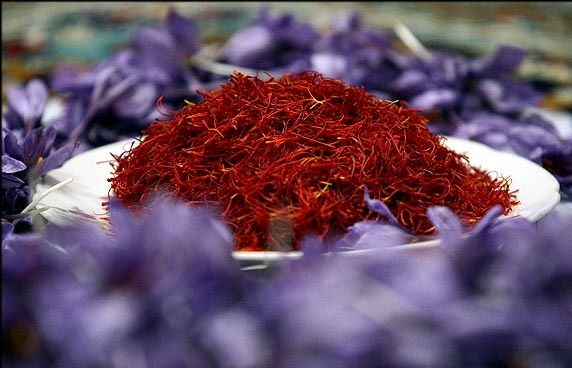 رئیس اتحادیه صادرکنندگان زعفران: زنگ خطر قاچاق پیاز زعفران به صدا درآمد