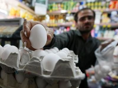 صادرات و تنظیم بازار تخم‌مرغ به بخش خصوصی واگذار شد