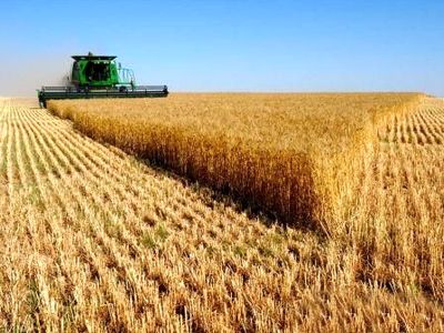 ۹۲ درصد مطالبات گندم‌کاران پرداخت شد