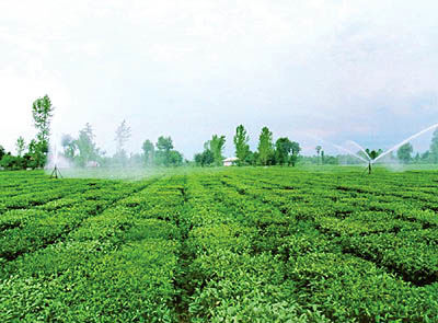 400 صندوق حمایت از توسعه بخش کشاورزی تشکیل می‌شود