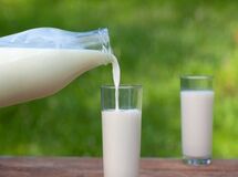 رئیس اتحادیه لبنیات سنتی: چربی لبنیات سنتی فقط خامه است