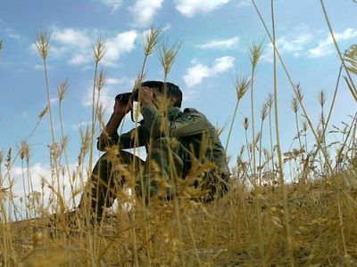 130 شهر تحت پوشش گشت‌ حفاظت کاربری اراضی کشاورزی قرار گرفت