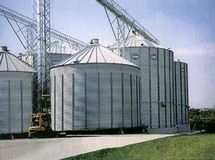 شش میلیون و 400 هزار تن گندم به سیلوها تحویل شد