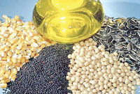 نامه انجمن روغن‌کشی کشور به وزیر جهاد کشاورزی