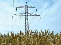 مدیرعامل  توانیر: 16.3 درصد برق کشور در بخش کشاورزی مصرف میشود