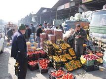 عضو کمیسیون کشاورزی مجلس: مافیا، میادین میوه و تره بار را کنترل می‌کند