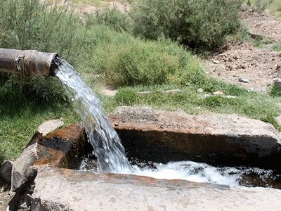 معاون وزیر نیرو: بی‌توجهی به فعالیت‌های پایه‌ای یکی از آفت‌های مدیریت در بخش آب است