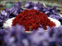 معاون رئیس‌جمهور: سهم ایران از صادرات گیاهان دارویی450 میلیون دلار است
