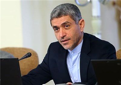 طیبنیا: منع قانونی برای حضور شبه دولتیها در واگذاریها وجود ندارد