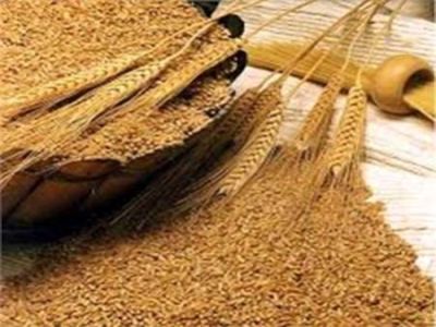 سود بازرگانی واردات جو صفر شد