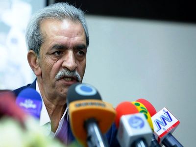 شافعی: با آلمان در زمینه‌های ریلی و انرژی همکاری می‌کنیم
