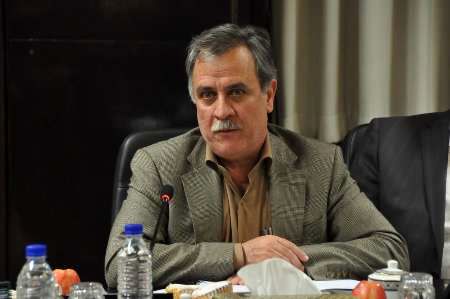 معاون وزیر صنعت: دولت مصمم به تکمیل زنجیره تولید فولاد در کشور است