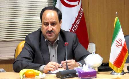 قائم مقام وزیر کار: تجربیات ایران در زمینه کارآفرینی به کشورهای آفریقایی منتقل میشود