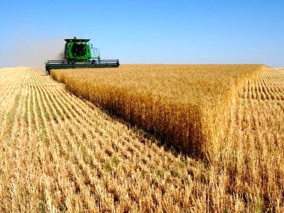 "150 میلیارد تومان برای جبران خسارت‌های واردشده به کشاورزان در نظر گرفته شده است"