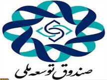 دولت برای نگهداری حساب‌های صندوق توسعه ملی در خارج از کشور مجوز دریافت کرد