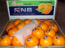 "نارنگی پاکستانی قاچاق است"