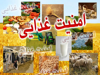 توزیع مرحله سوم سبد حمایت غذایی دولت آغاز شد