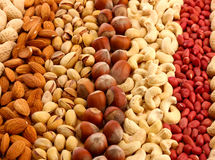 رئیس اتحادیه آجیل: انحصار واردات آجیل در دست عده‌ای خاص است