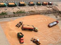 گندم در صدر جدول واردات کالا قرار گرفت