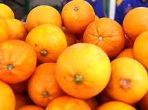 10 تن پرتقال فاسد از سردخانه‌های یک شرکت دولتی
کشف شد