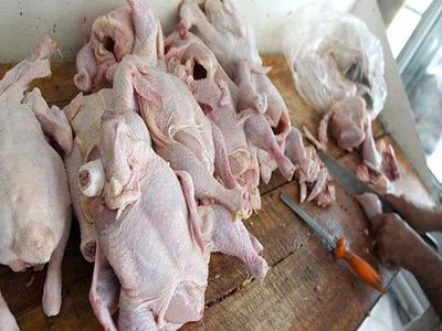قیمت مرغ از 8000 تومان پایین‌تر نیامد