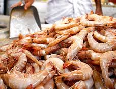 وزیر جهادکشاورزی از آمادگی بازار روسیه و چین برای جذب میگوی صادراتی ایرانی خبر داد