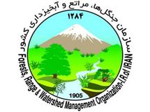 سازمان جنگل‌ها خواستار حفظ محیط زیست در روز طبیعت شد