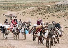 شرایط عضویت در صندوق بیمه اجتماعی کشاورزان،‌ روستائیان و عشایر اعلام شد