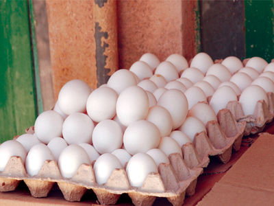 دبیر کانون پرورش دهندگان مرغ تخم‌گذار:  شایعات تخم‌مرغ را 300 تومان گران  کرد