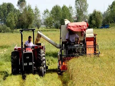 قیمت سوخت برای تمام زیربخش‌های کشاورزی 20 درصد افزایش یافت