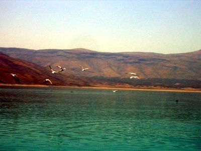 آب خروجی از سدهای کشور 7.9 درصد کاهش یافت