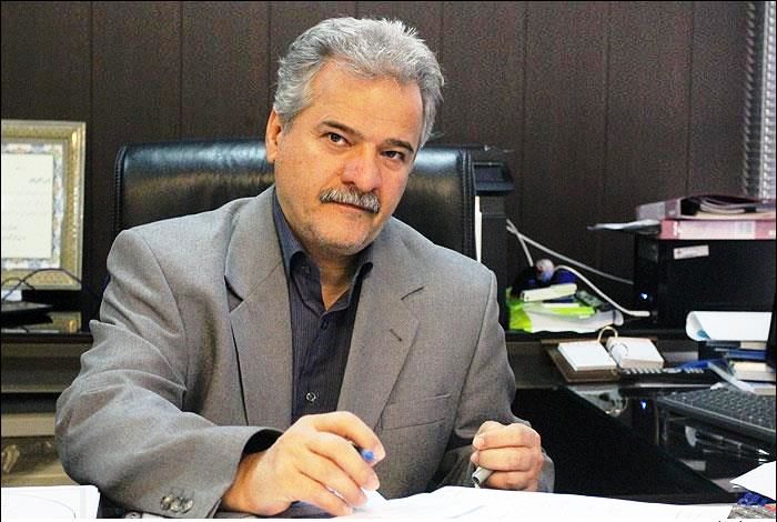 مدیرعامل شرکت ملی صادرات گاز: ایران در خاک ترکیه نیروگاه میسازد