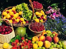 رئیس اتحادیه میوه و ترهبار: میوههای تابستانی ارزان شدند