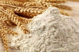 رئیس انجمن آردسازان ایران: دولت تصمیمی برای آزادسازی قیمت آرد تا پایان سال ندارد