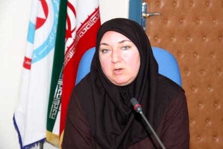 "برنامه جامع بهرهوری کشور" در کمیسیون اقتصادی دولت تصویب شد