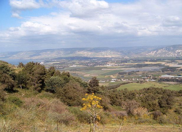 ساخت و ساز در اراضی تعاونی مسکن سازمان جنگل‌ها تعیین تکلیف شد