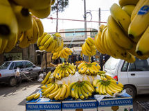 واردات موز در بهار امسال 70 درصد افزایش یافت