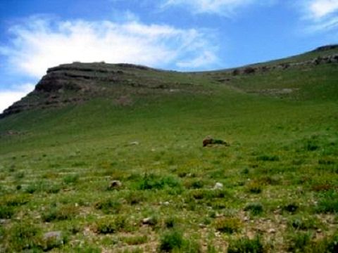 معاون حفاظت و امور اراضی تهران: 40 هزار هکتار از اراضی ملی و دولتی استان سنددار می‌شود