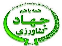 وزارت جهاد کشاورزی انحصار در "واردات میوه" را تکذیب کرد