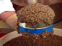 خاویار کیلویی 20 میلیون تومان شد