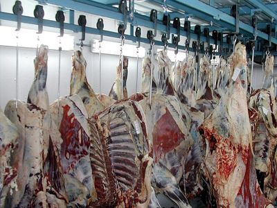 سازمان دامپزشکی: ذبح دام در مکان‌ها ومعابر عمومی    باعث انتقال بیمارهای مشترک  می‌شود