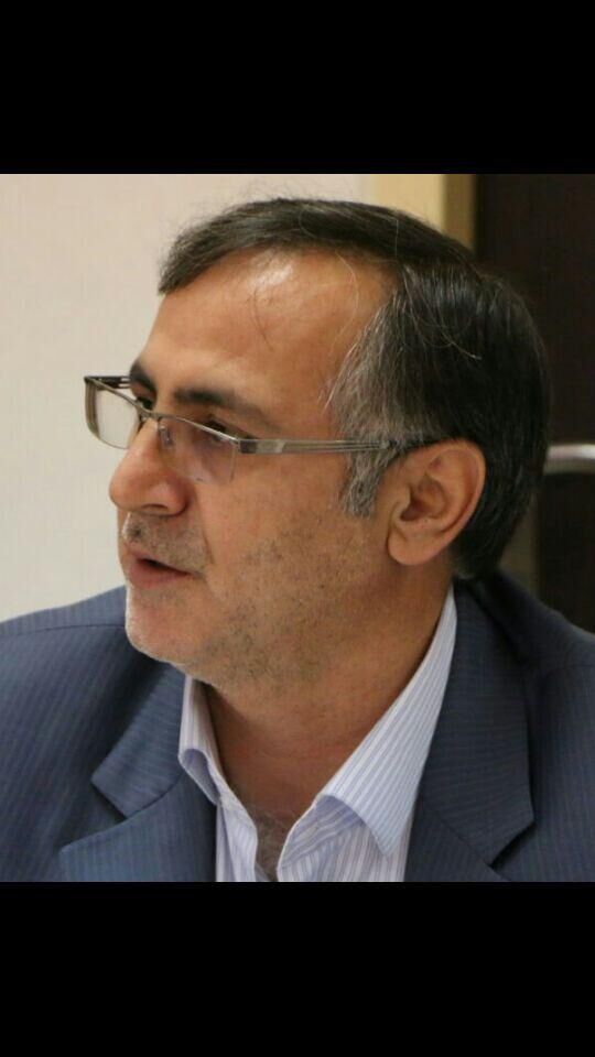 مدیر سابق  وزارت صنعت:  نواقص اجرای وام 25 میلیونی خودرو به زودی مردم را ناراضی می‌کند