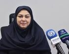 تعدد نهادهای تنظیم‌گر، چالش اصلی حکمرانی بانکی است