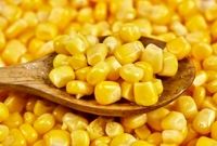 آغاز ثبت‌سفارش ذرت دامی و جو / ثبت‌سفارش از شنبه آغاز می‌شود
