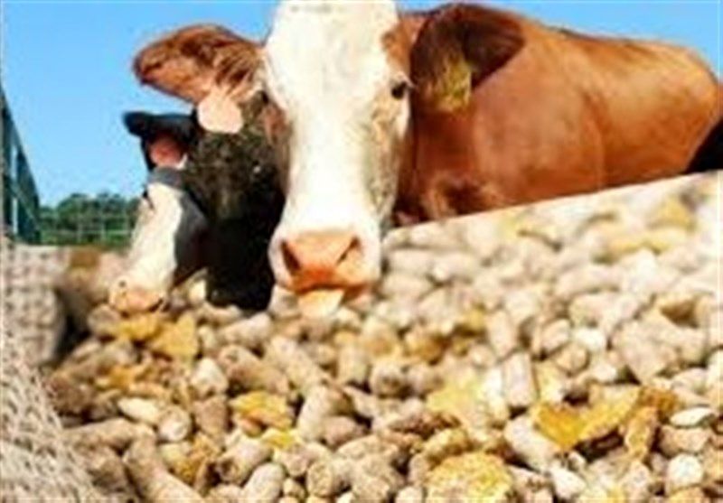 ایجاد مجدد رانت 50هزار تومانی در ارز واردات نهاده